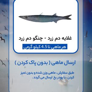 ارسال غلایه دم زرد ( بدون پاک کردن )