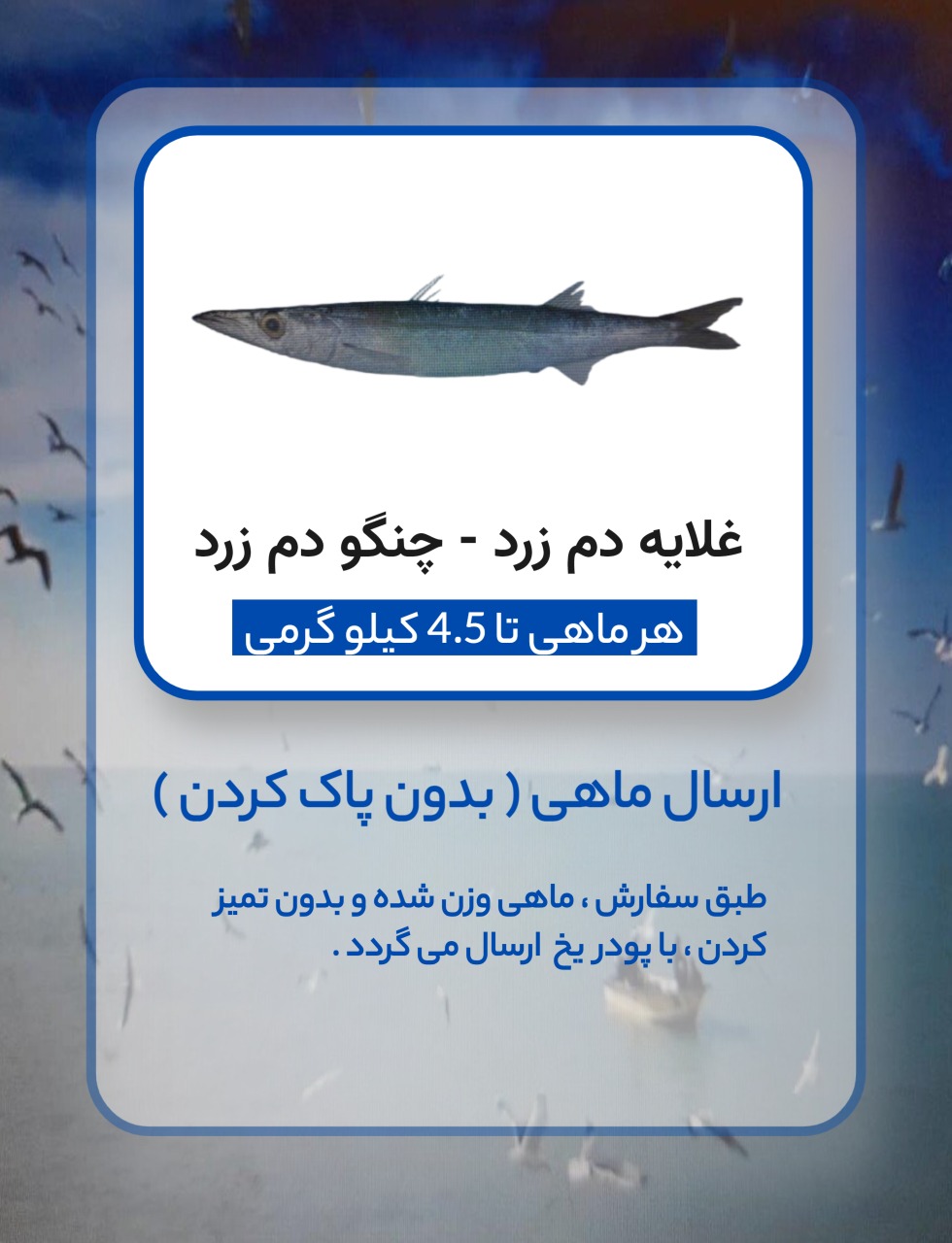 ارسال غلایه دم زرد ( بدون پاک کردن )
