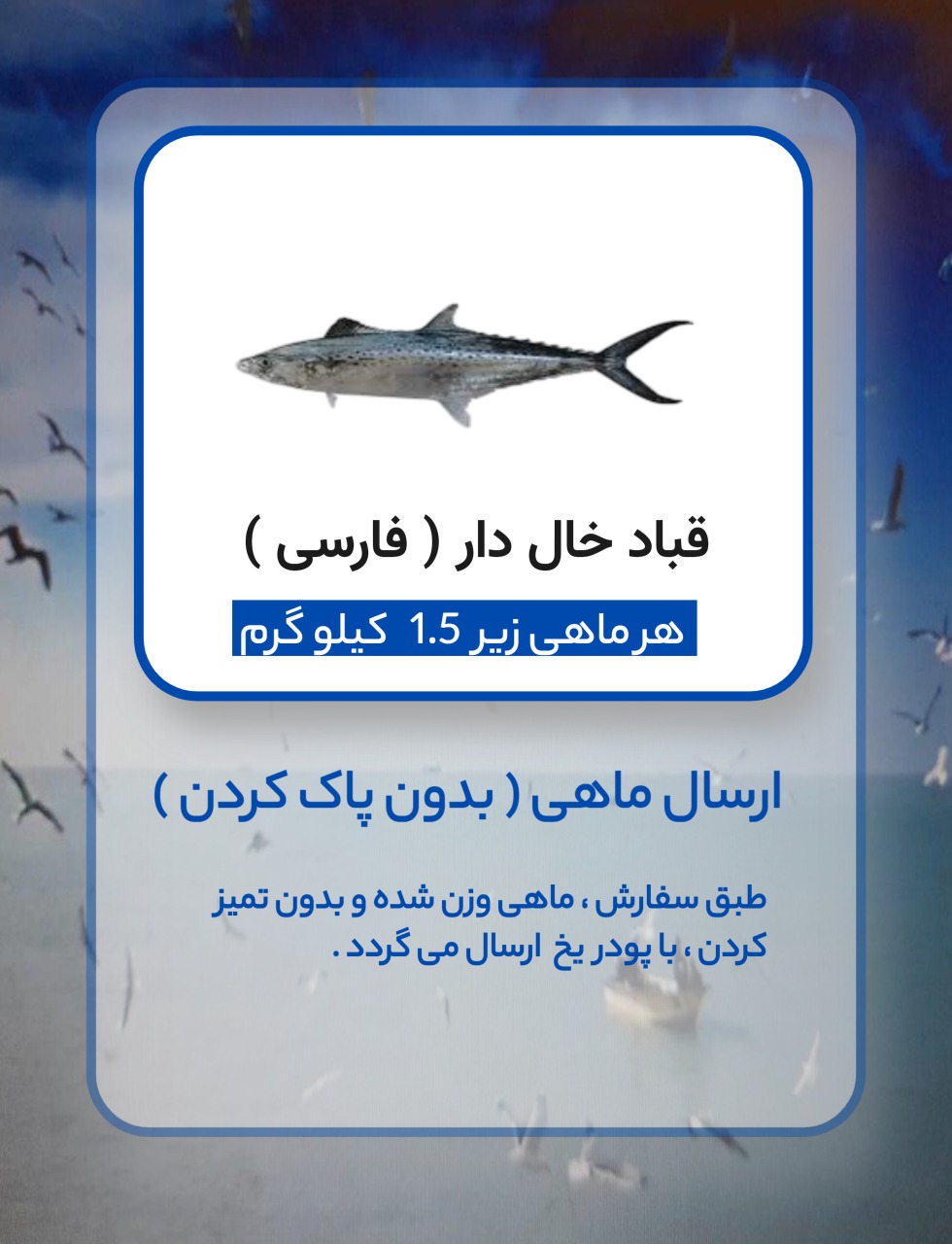 قباد خال دار ( قباد فارسی )