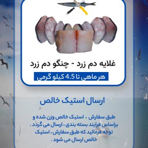 استیک خالص غلایه دم زرد