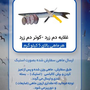 غلایه دم زرد بزرگ - کوتر دم زرد - جِت ( با پاک کردن )