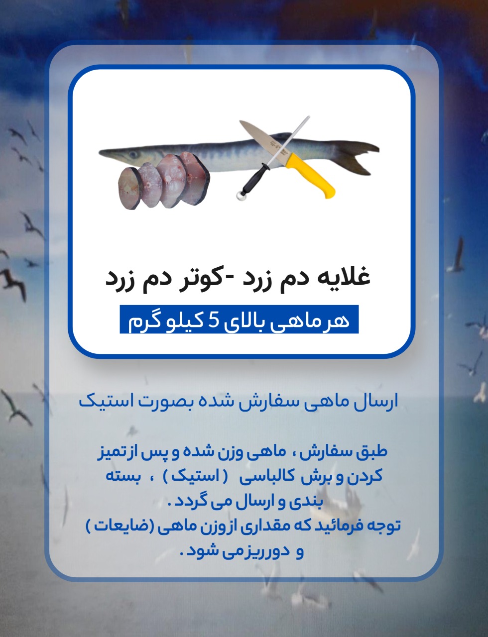 غلایه دم زرد بزرگ - کوتر دم زرد - جِت ( با پاک کردن )