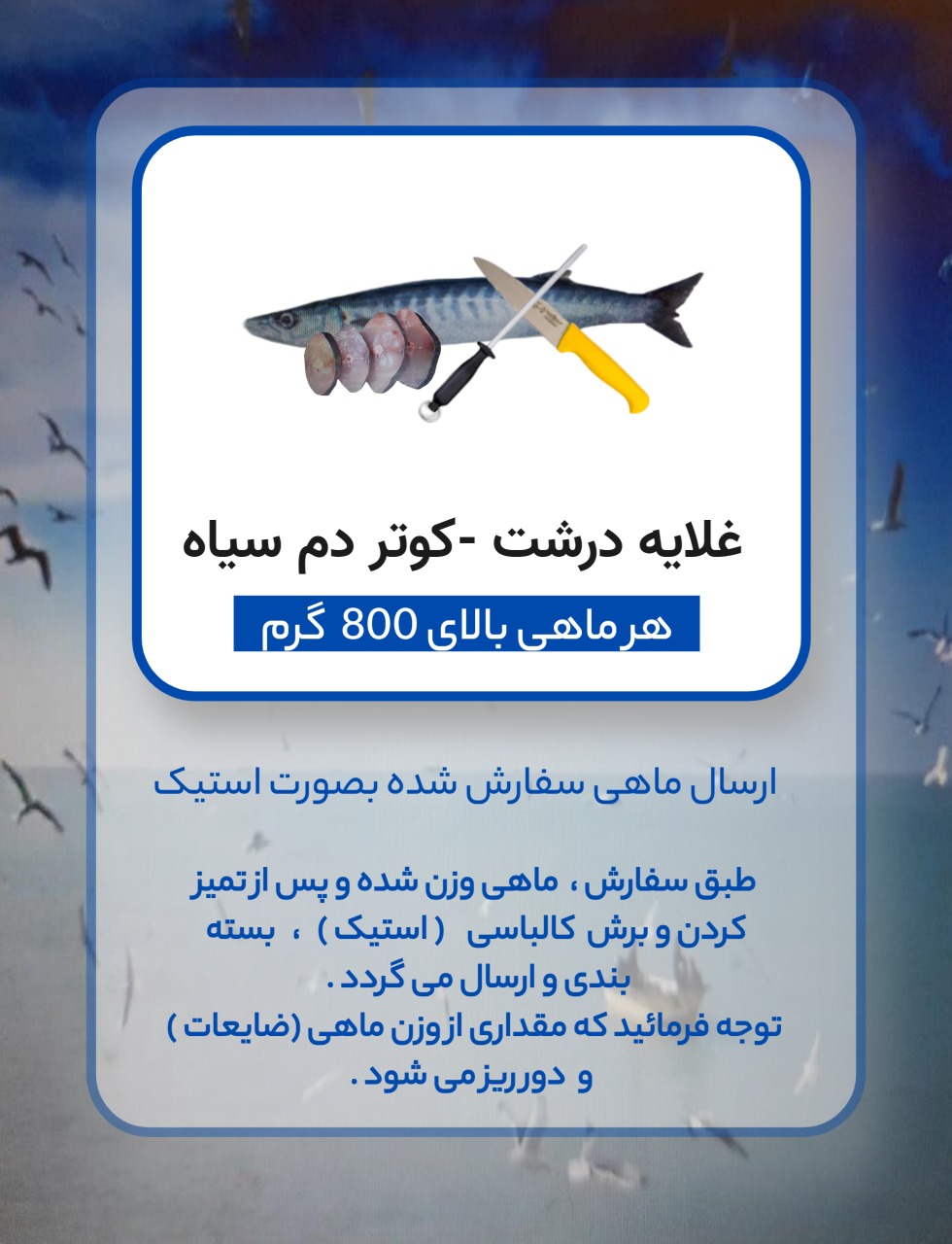 کوتر دم سیاه  ( با پاک کردن )