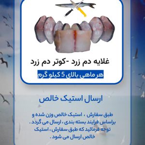 استیک خالص (غلایه دم زرد بزرگ - کوتر دم زرد - جِت )