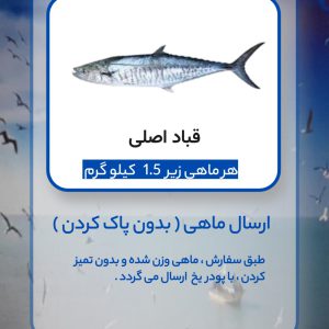 قباد اصلی