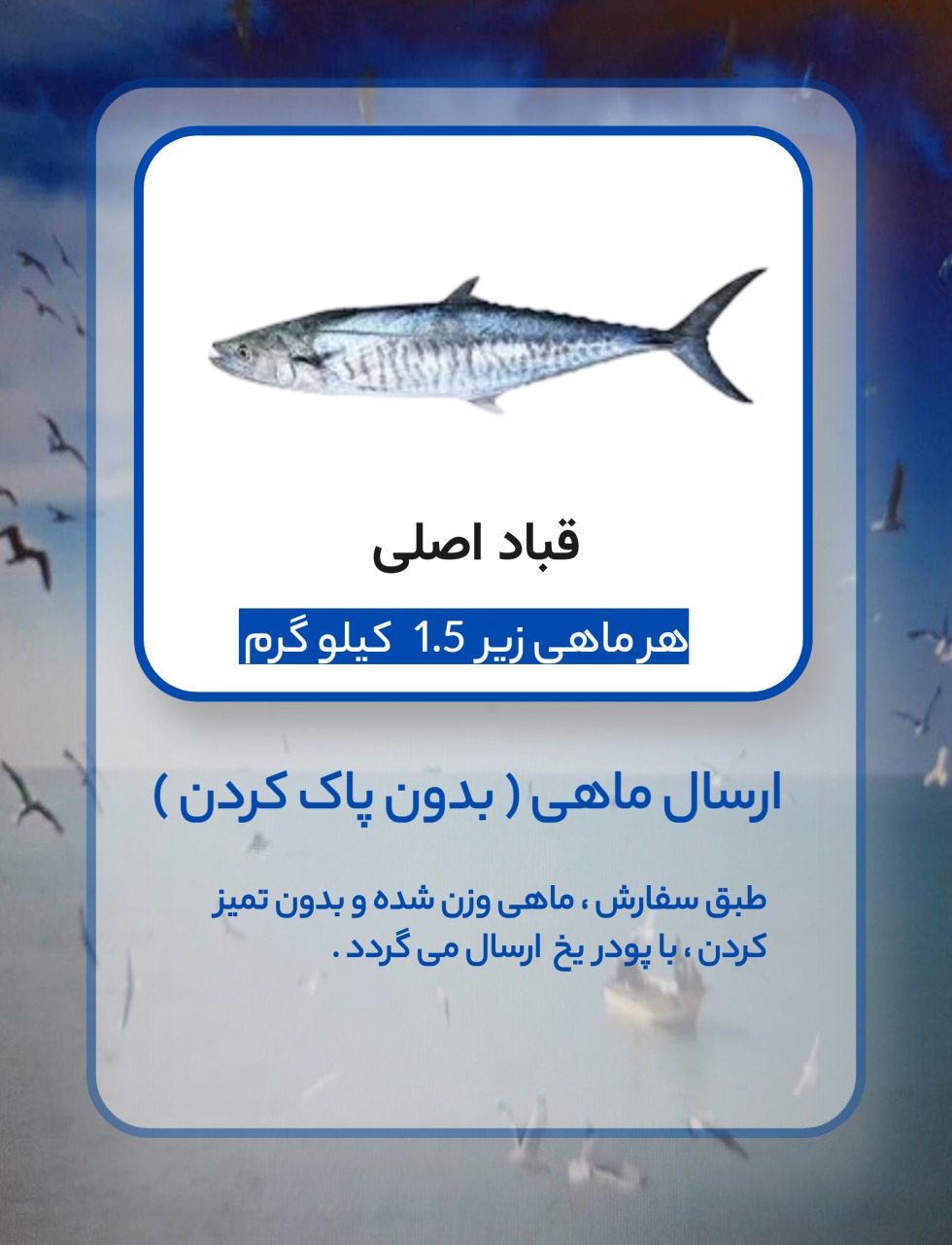 قباد اصلی